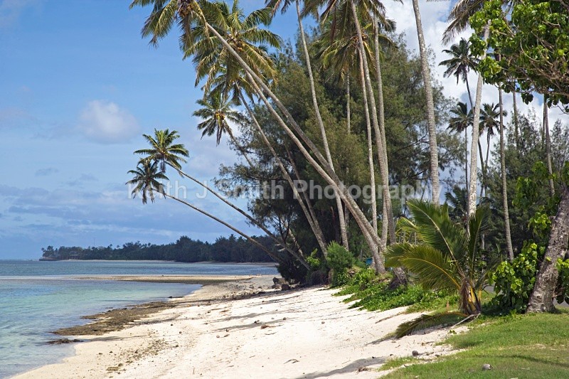 YR6M0749 - Worldwide