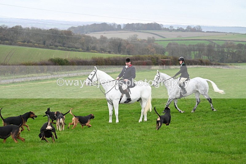 WJ7_8833 - Meet Staff & Hounds