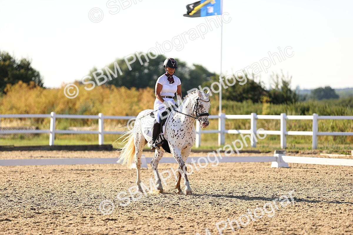 SBM_007811 - Elementary 4 - 17.07-18.22