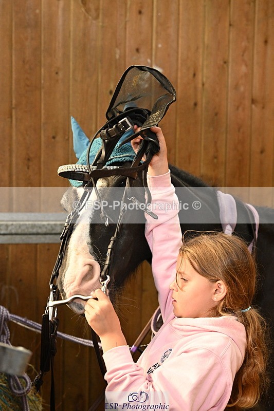 240809A-090619-00054 - Stable Shots