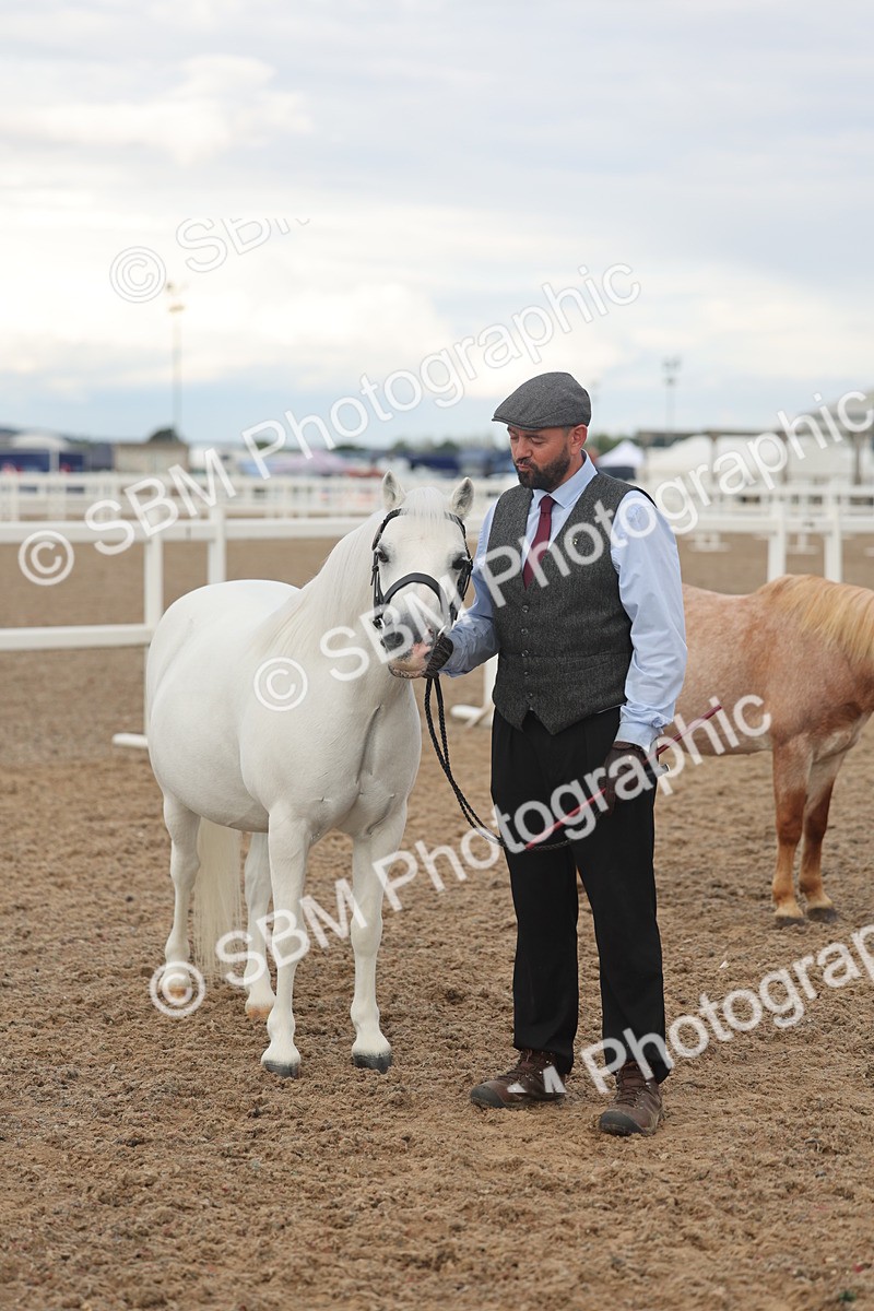 SBM_08527 - Class 29 - IH Veteran Pony