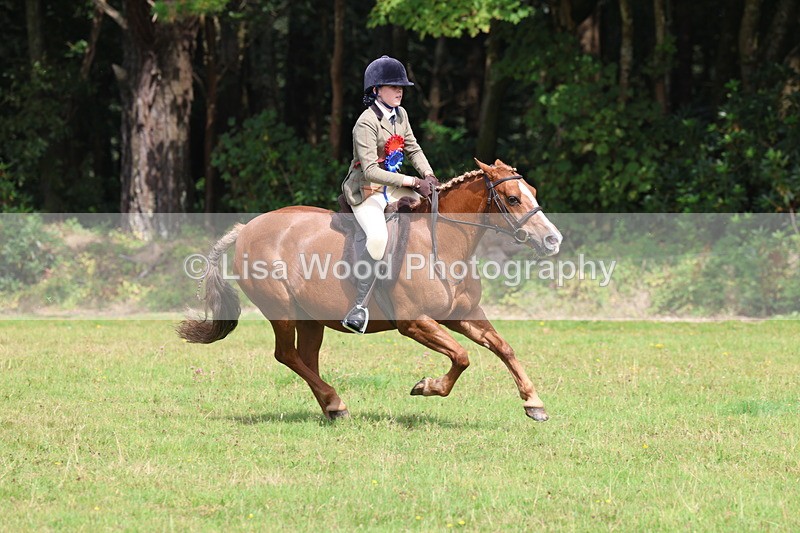 3E7A6099 - Working Hunter Championship