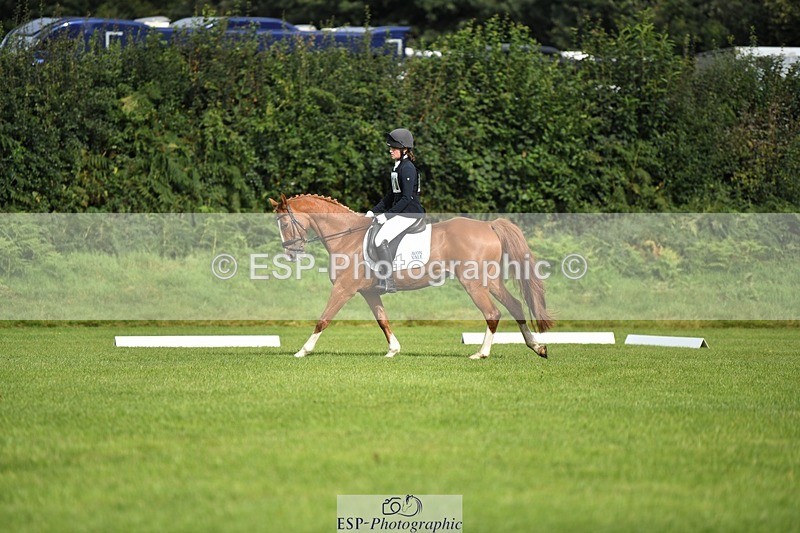 230826-093222-15133 - Sections C & D 9 to 10am