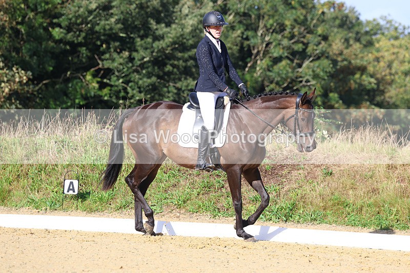 3E7A2094 - Class 1: Intro 4 2024 section A