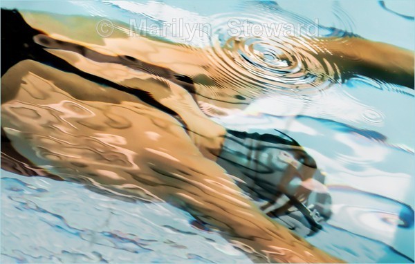 Into the blue - Exhibition acceptances