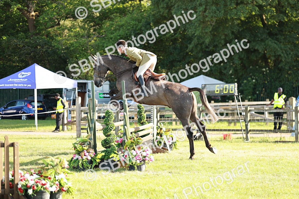 SBM_20155 - Class 117-119 - Sport Horse Working Hunter