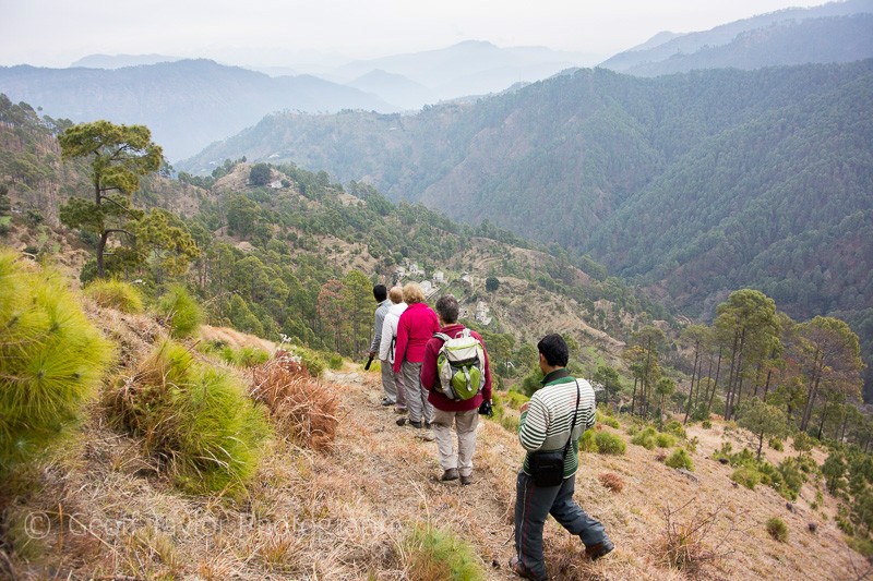 Walk from Kathdara - Binsar Sanctuary
