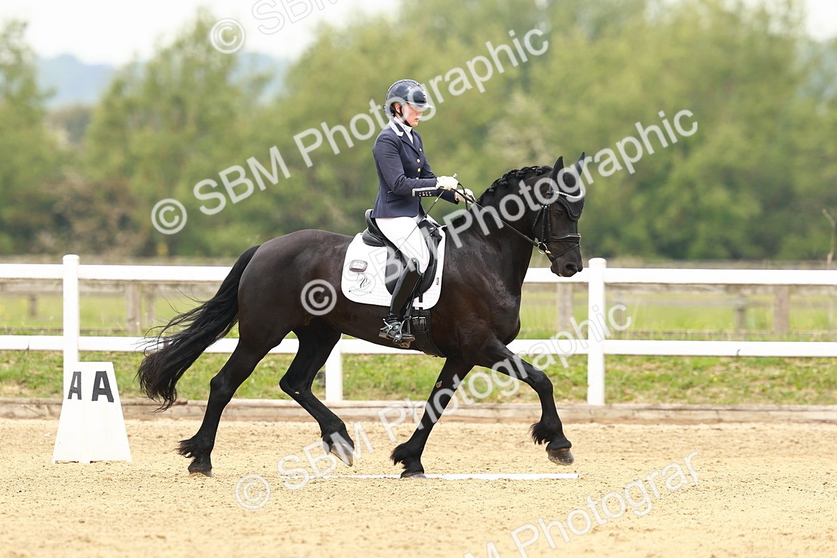 SBM_000985 - Class 6 - Novice 4
