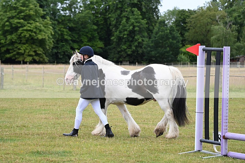 WJ6_8763 - Class 10 Coloured in-hand