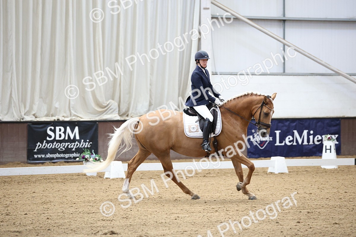 SBM_002071 - Class 5 - Novice 6 Gold - 9.00-10.10