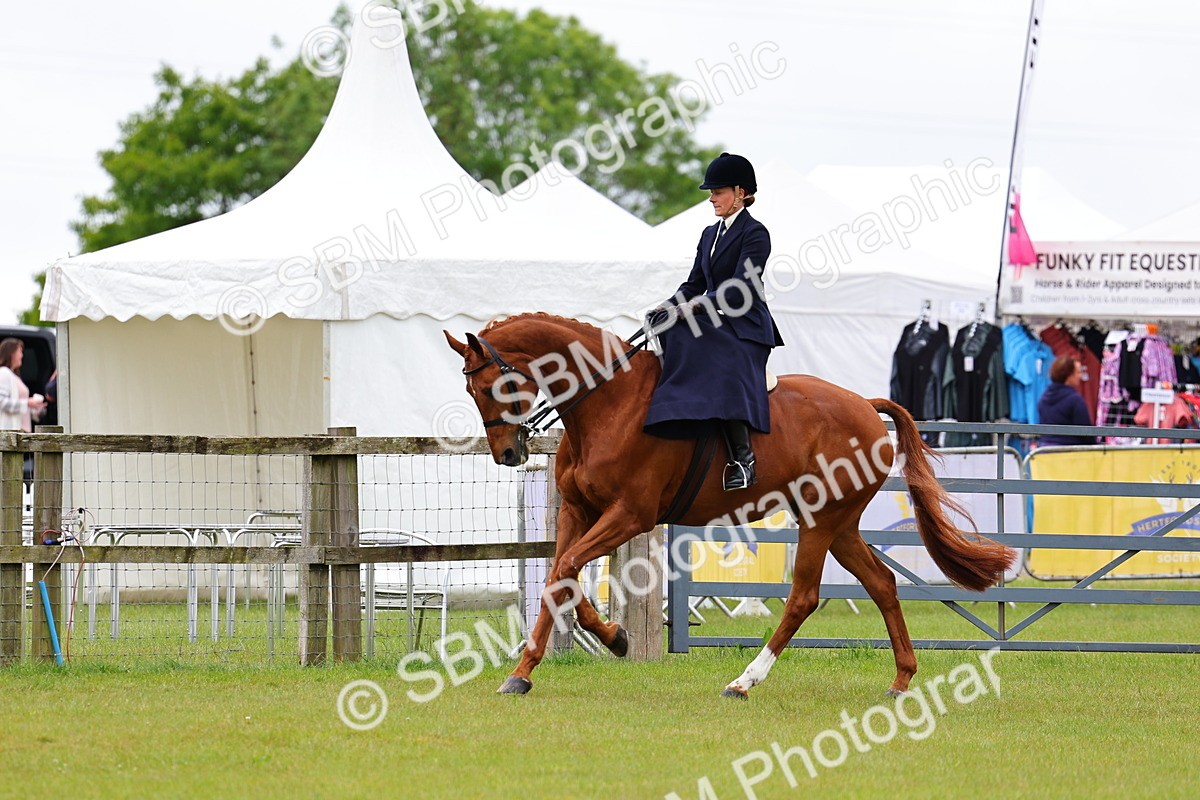 SBM_02754 - Class 9-11 Side Saddle including LIHS Rising Star Ladies Show Horse