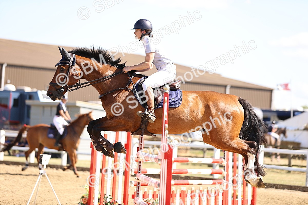 SBM_015527 - Class 16 - Senior foxhunter - 1.20m Open