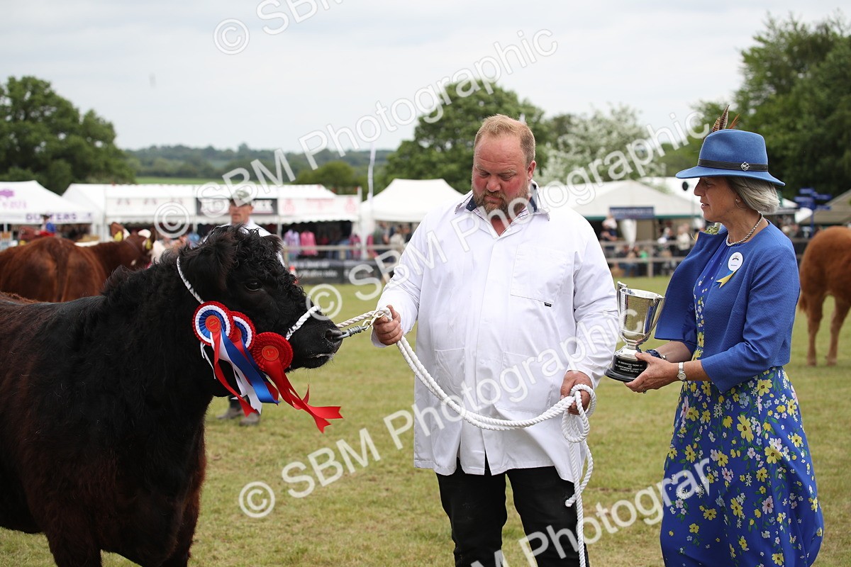 SBM_07906 - Grand Parade