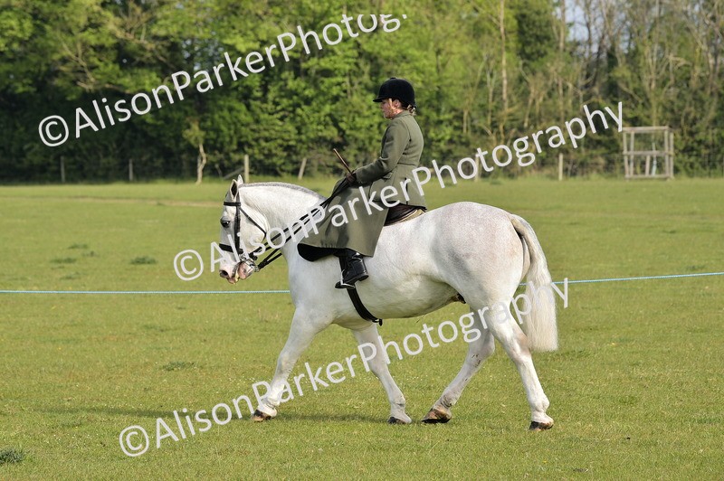 20260426-0870 - Class 18 - Novice Showing