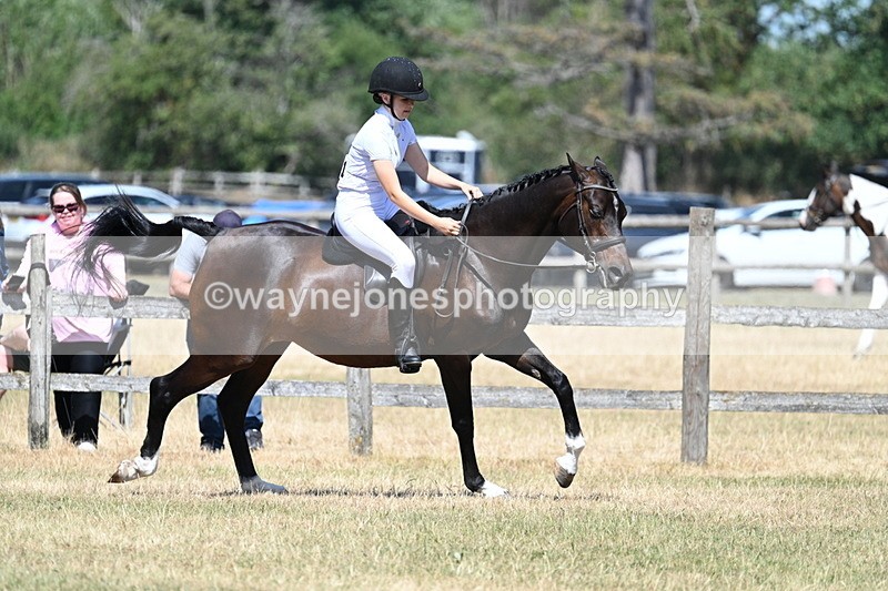 WJ7_3527 - Class 8 Ridden Veterans