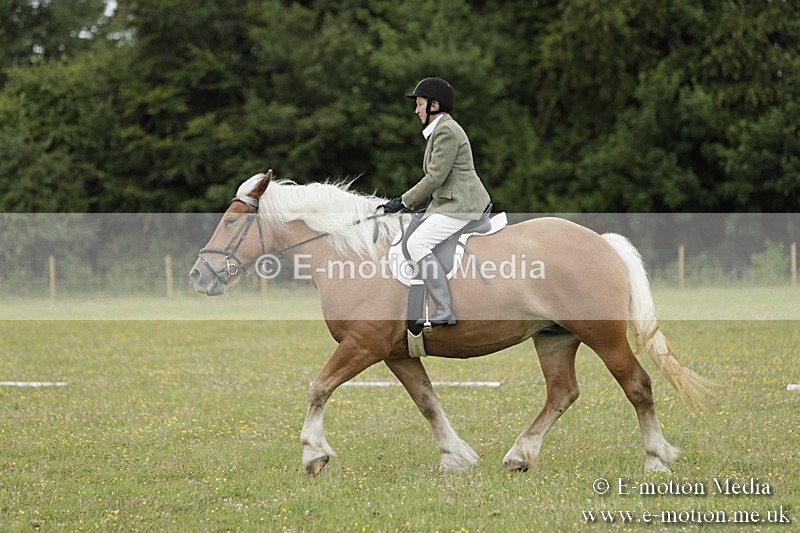 BVR160717-668 - Class 1 & 23a Dressage 16/07/17