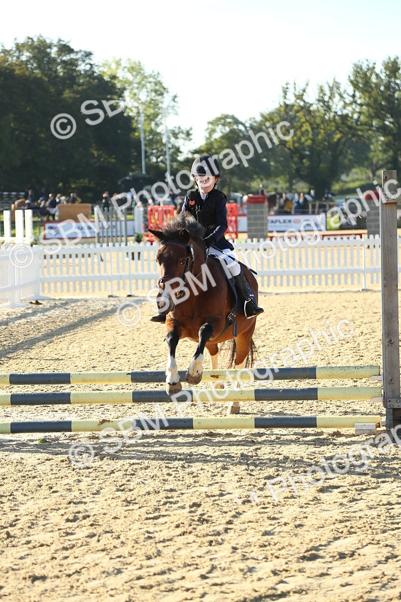 SBM_34982 - J5 - Junior Pony 50cm Championship