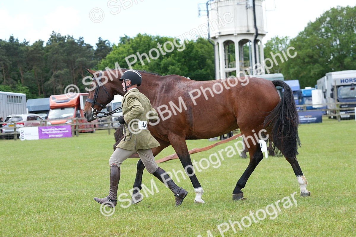 SBM_15043 - Class 100-102 - RIHS Working Hunter