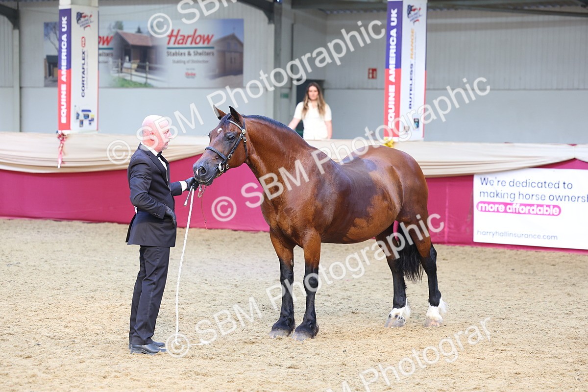 SBM_24990 - Grand Supreme Final Overall Champion