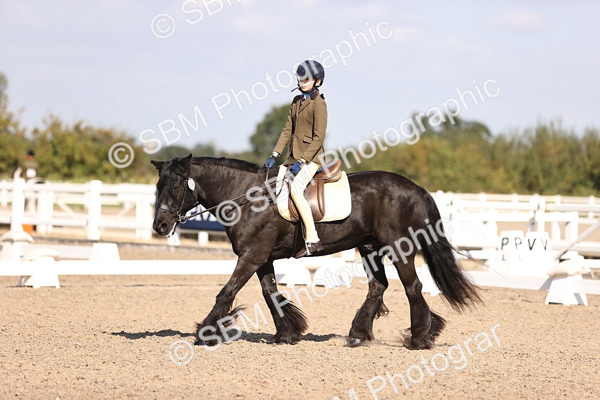 SBM_03477 - CLass 35 Intro 3