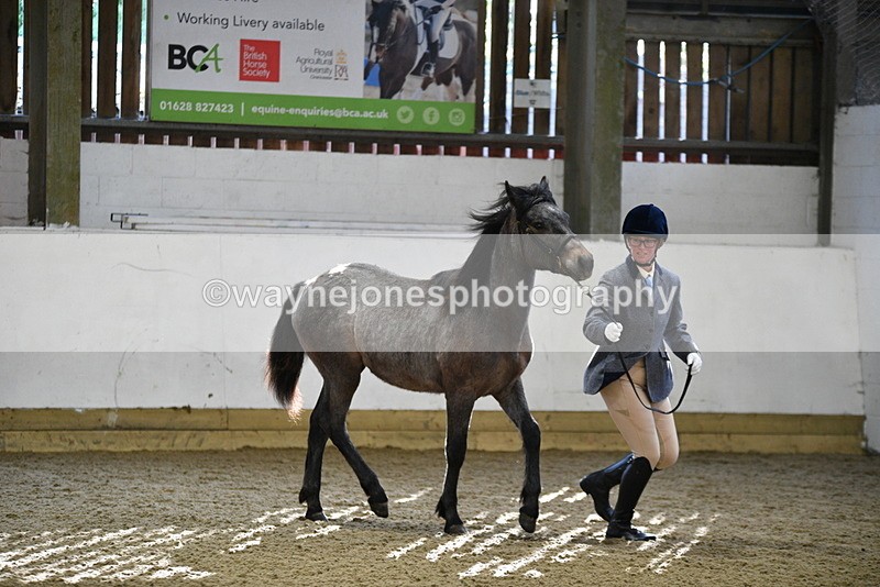 WJ5_3406 - Class 1 Youngstock