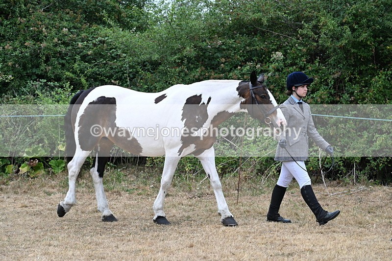 WJ7_8620 - Class 4a Prettiest Mare 14.2hh and over