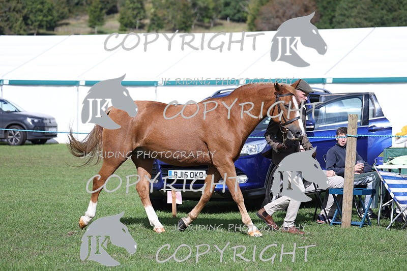 APP_2785 - Class 10a/b M&M in hand