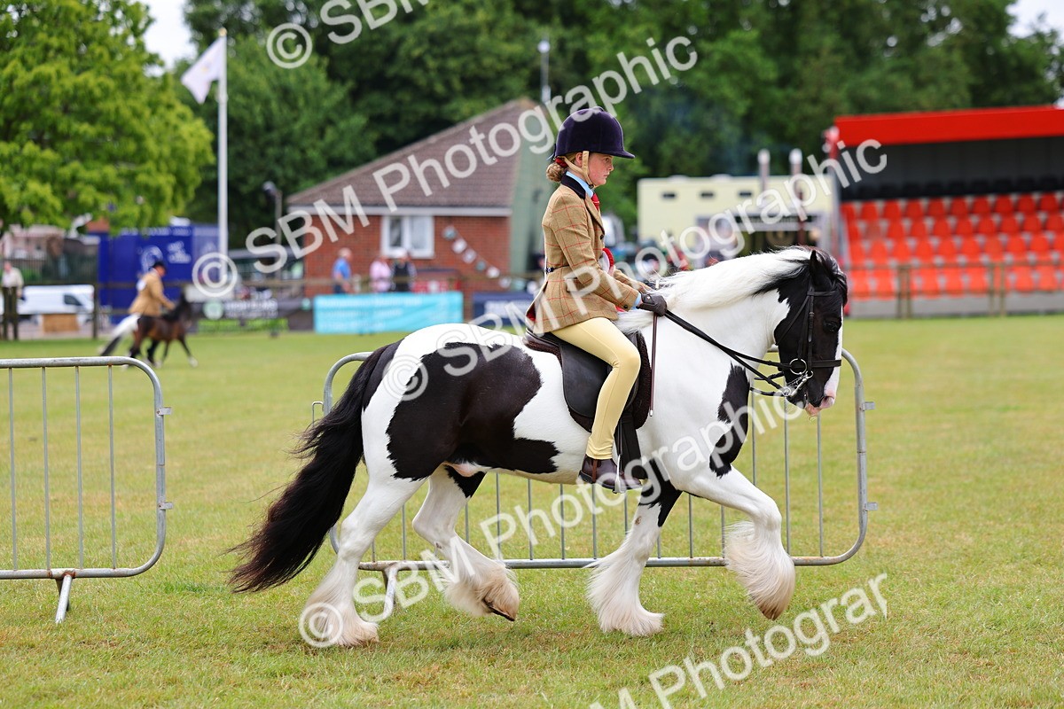 SBM_02607 - Class 9-11 Side Saddle including LIHS Rising Star Ladies Show Horse
