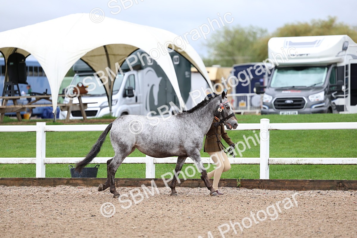 SBM_00233 - Class 13 - Young Handler