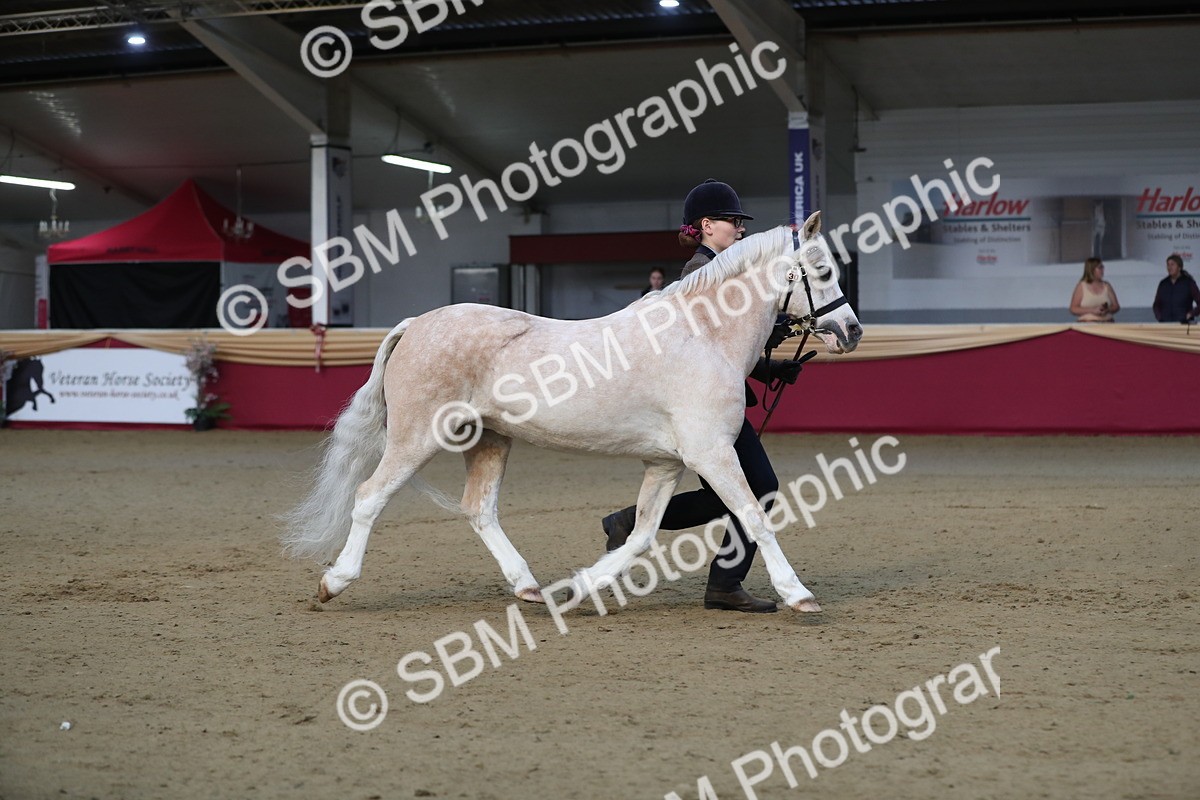 SBM_00268 - Class 1a - Area IH Diamond
