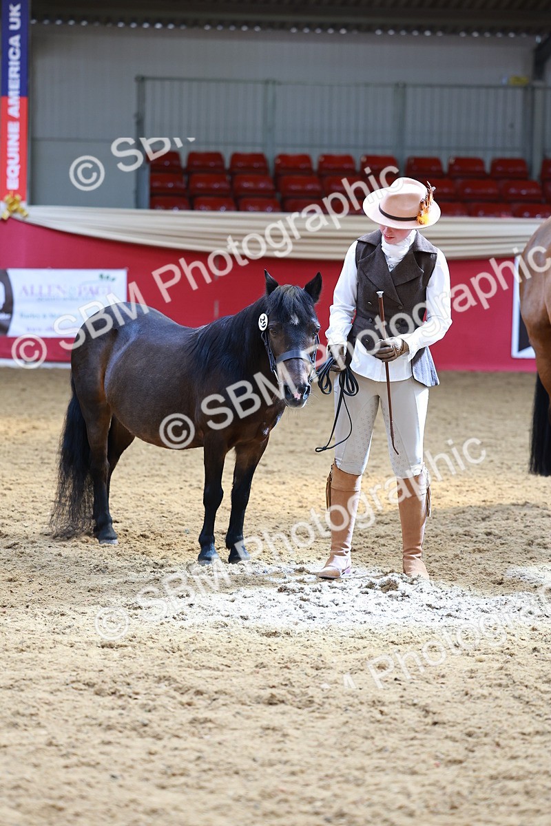 SBM_02335 - Class 7R - IH Diamond