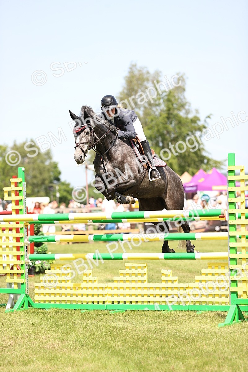 SBM_04022 - Class 201 - British Horse Feedds Speedi Beet HOYS Grade C