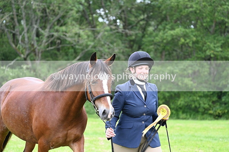 WJ7_4597 - Class 14B Prettiest Mare