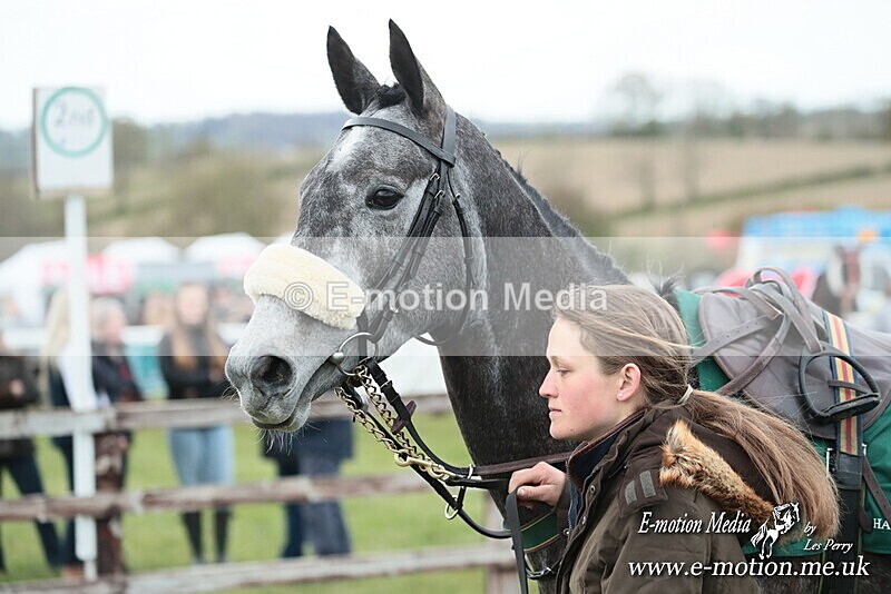 PtP 130425 339 - Edgecote Races 13/04/25