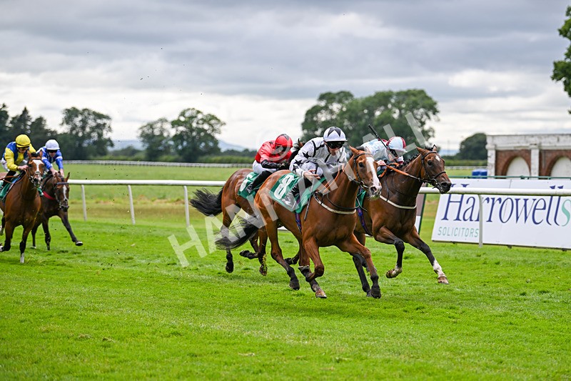 030724-Race 5-Petra Celera-0867 - Race 5