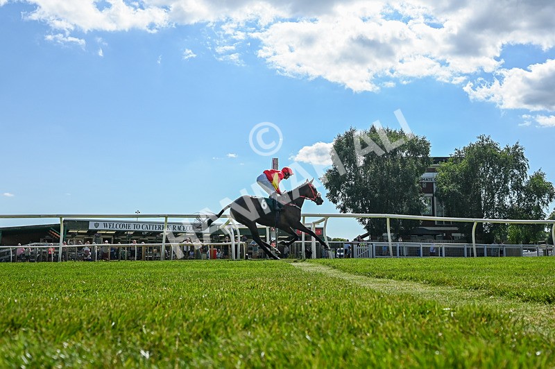 080726-Race 5-Sugarpiehoneybunch-3944 - Race 5 16.00pm Bet At racingtv.com Handicap