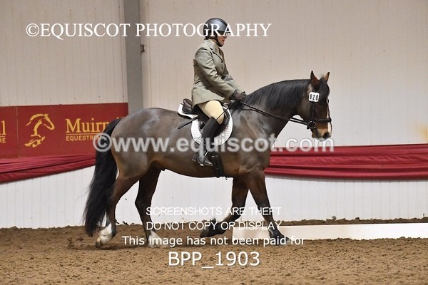 BPP_1903 - INTRO TEST 3