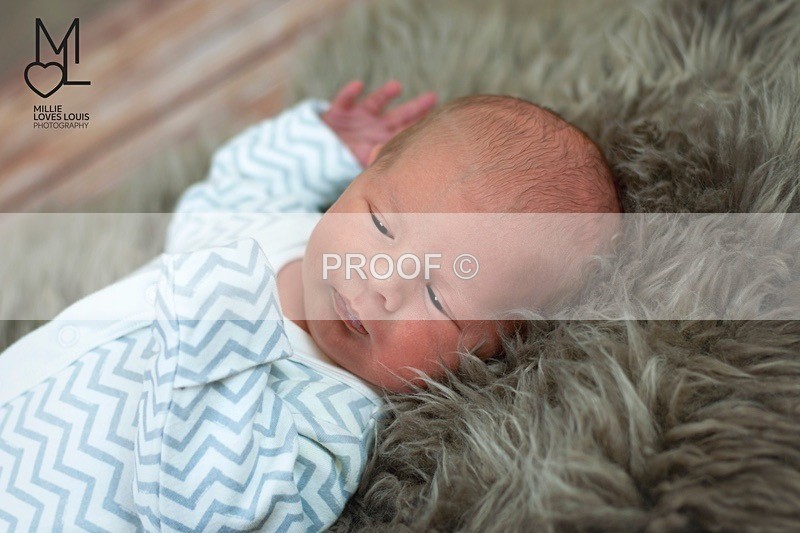 DSC_4515 copyportfolio - Newborn Photoshoots