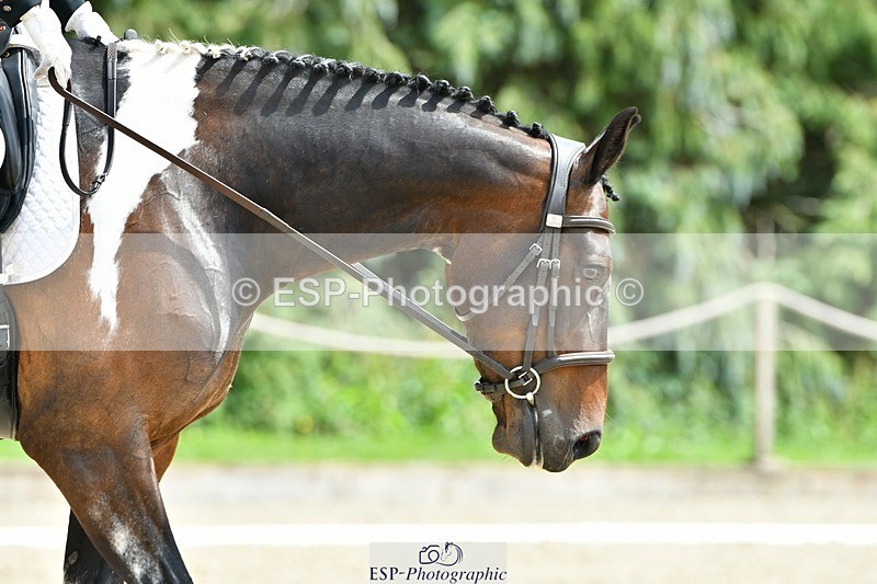 230623-143519-01012 - Cls 5 Elementary 43