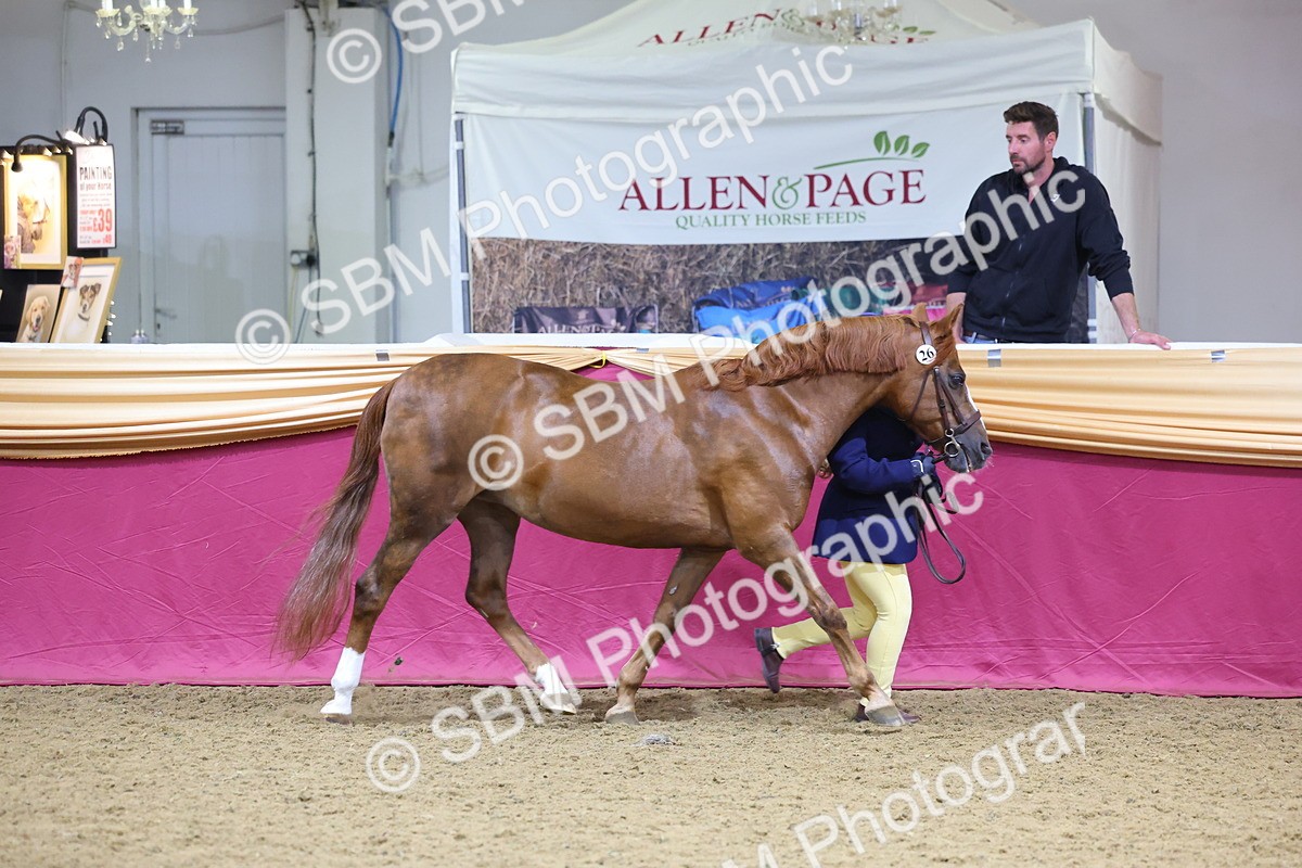 SBM_19628 - Class 901 - Supreme Final - IH Diamond