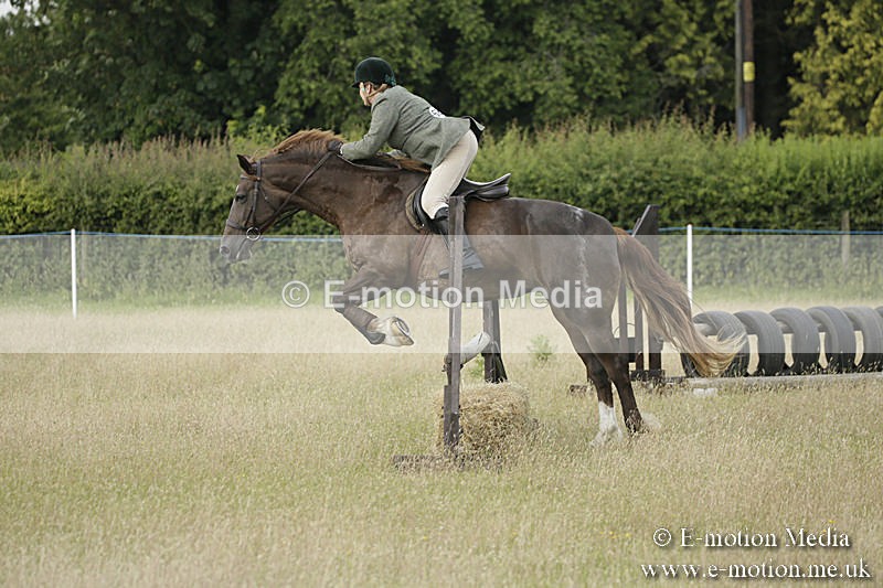 B230619-0180 - Bourne Valley Riding Club Summer Show 23/06/19