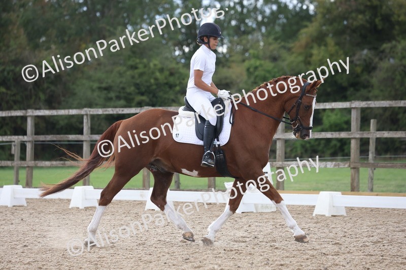 20260923-0476 - Class 7 - Novice 2