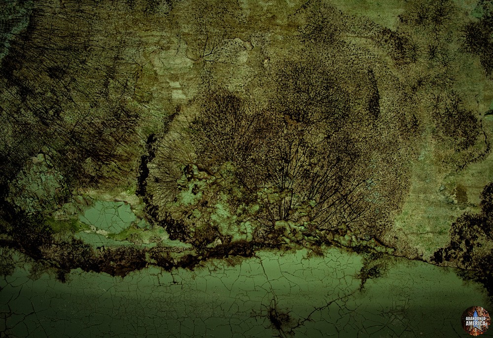  - Abandoned Asylums and Institutions