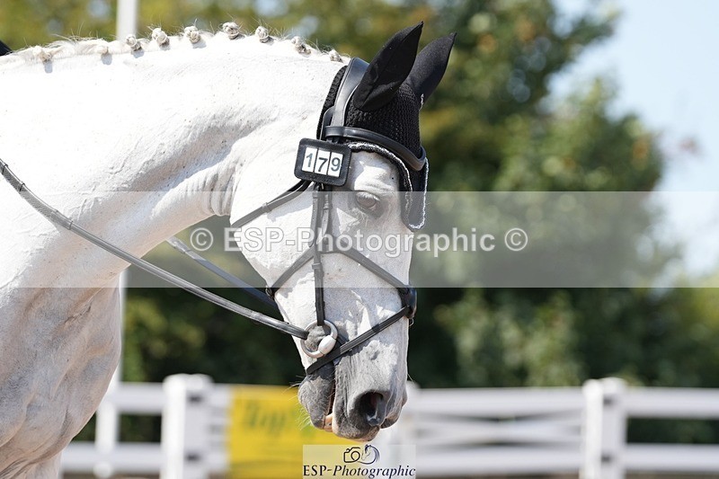 250817-134525-10495 - 179-Kate.WilliamsGhyllwood.April.Moment