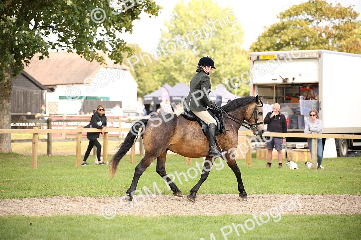 SBM_49997 - S26 - Young Veteran - Ridden