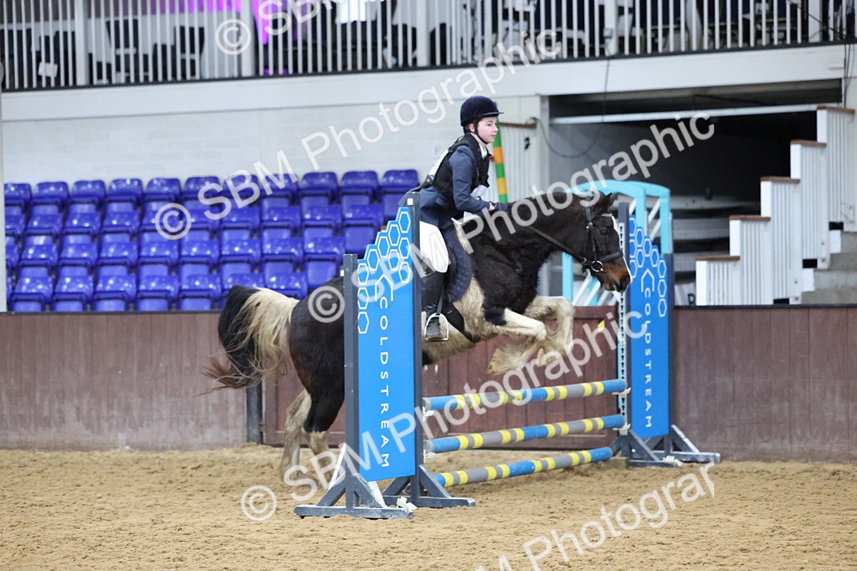 SBM_001187 - Class 3 - Christmas Tree Stakes - 60cm