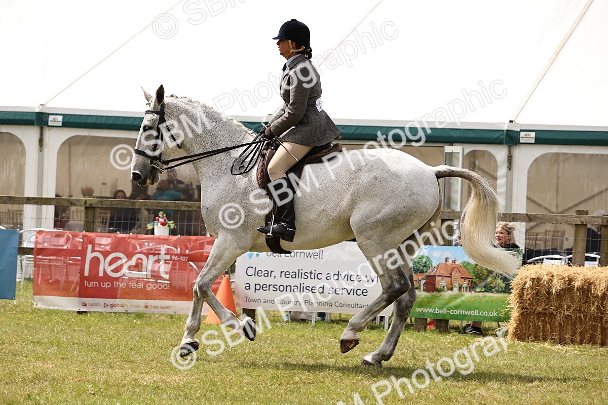 SBM_14675 - Class 88-89 - LIHS BSHA Rising Star of Ridden Hunter Type