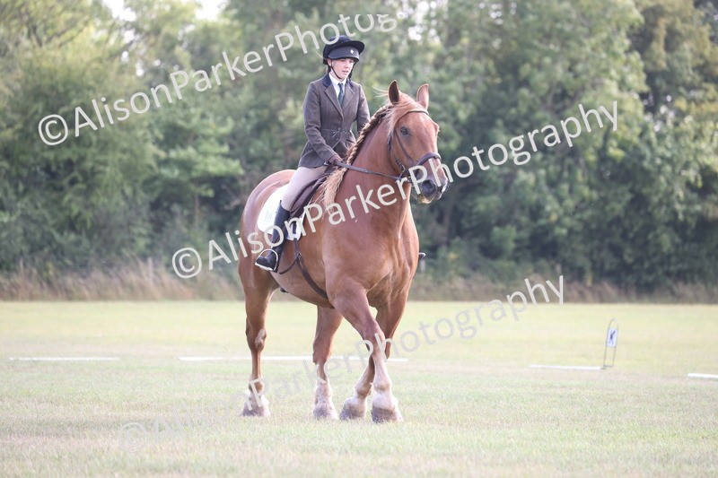 20250731-0561 - Class 1 - Intro 4