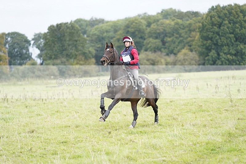 _DSC7681 - Time at Photographer 11:24 to 11:55