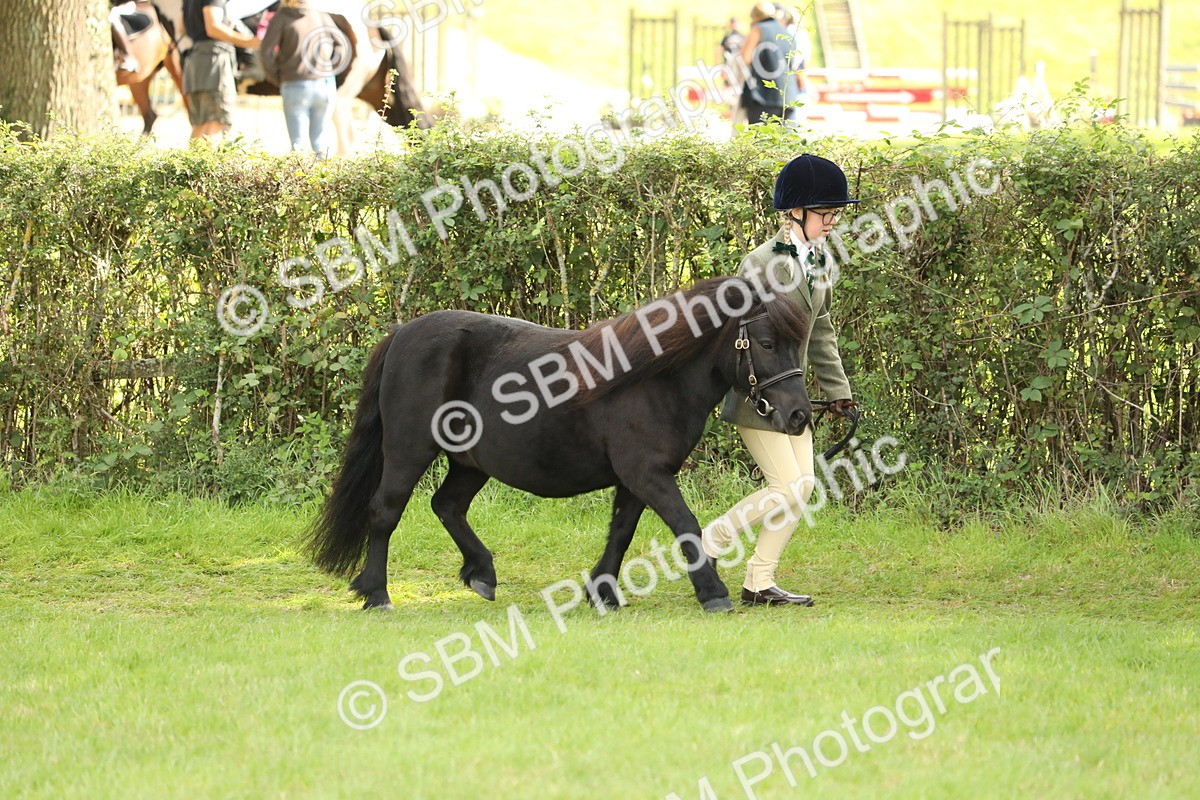 SBM_62760 - S46 - Mountain & Moorland In Hand Small Breeds